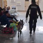 Fortalece Guardia Estatal vigilancia en central de autobuses