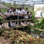 Disfrutan Divertida Experiencia los Menores Impulsores de la Transformación del DIF Tampico