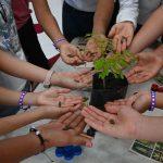 Promueve taller educativo cuidado del medio ambiente y reforestación
