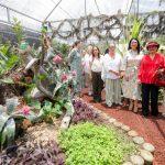 Mónica Villarreal inaugura el Bromeliario y fortalece la oferta turística y ambiental de Tampico