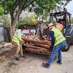 Consolida Mónica Villarreal estrategia de limpieza y prevención con 284 jornadas en las colonias