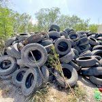 Clausuran y aseguran predio con llantas en desuso en Reynosa