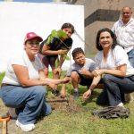 Gobierno de Tampico se suma a Jornada Nacional de Reforestación, más de 18 mil árboles se han sembrado a la fecha