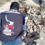 Hallan restos humanos calcinados en brecha de Reynosa
