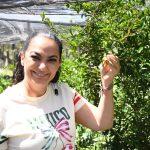 La Agricultura es esencial para el desarrollo del país; Olga Sosa reconoce a agricultores mexicanos