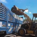 Reduce SEDUMA los riesgos sanitarios y ambientales con trituración de llantas en Reynosa