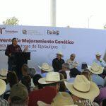 En Tamaulipas se han destinado 545 MDP en apoyos al sector ganadero: Américo